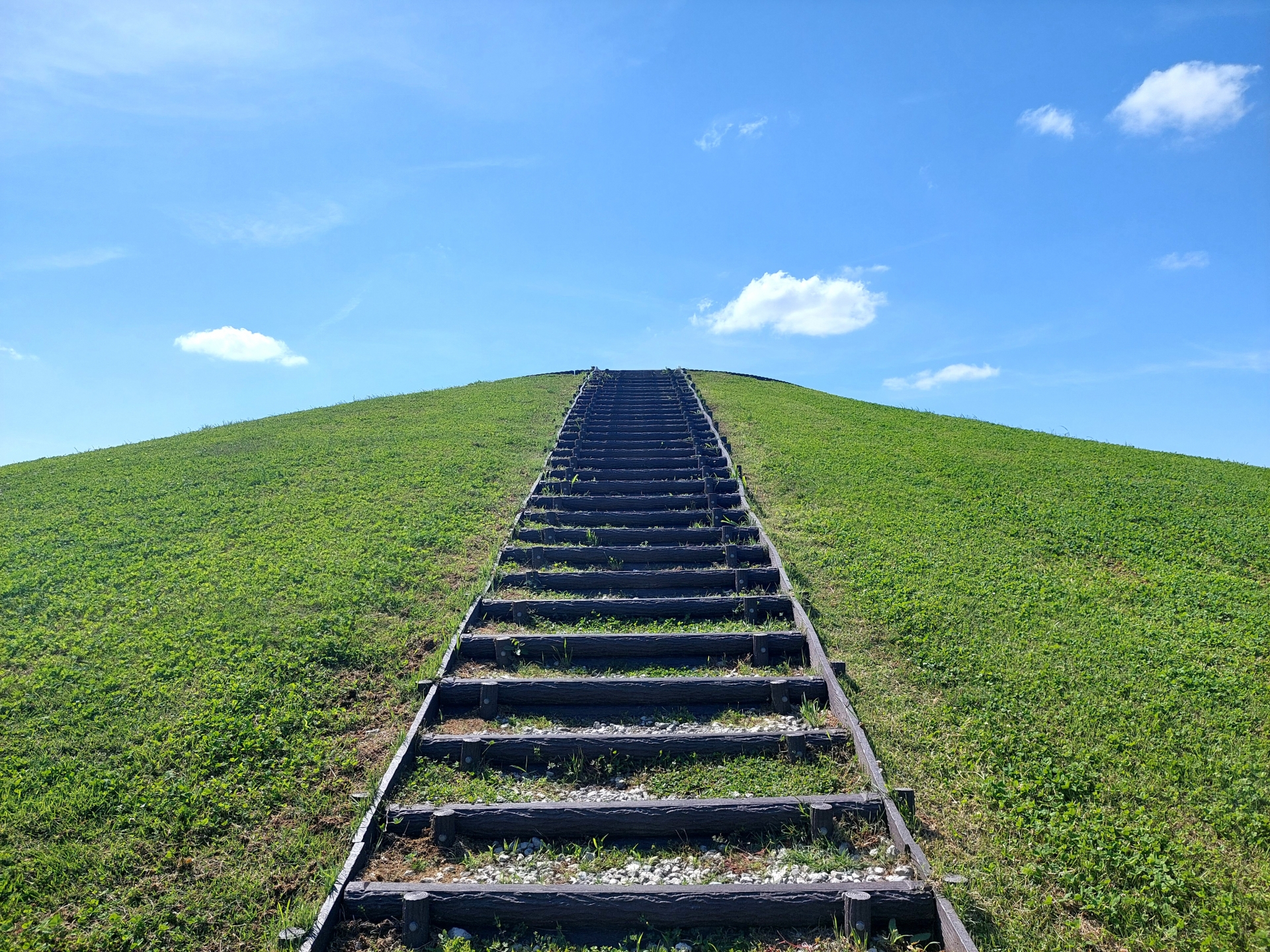 TikTok収益化の条件を完全ガイド！初心者でもわかる6つの方法と最短達成のコツ